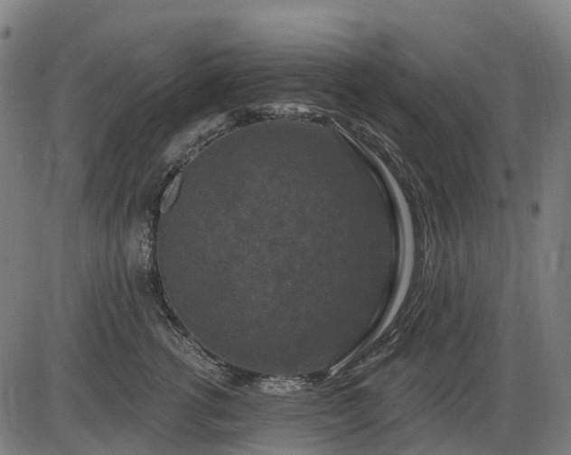 X0000085320762200703161505