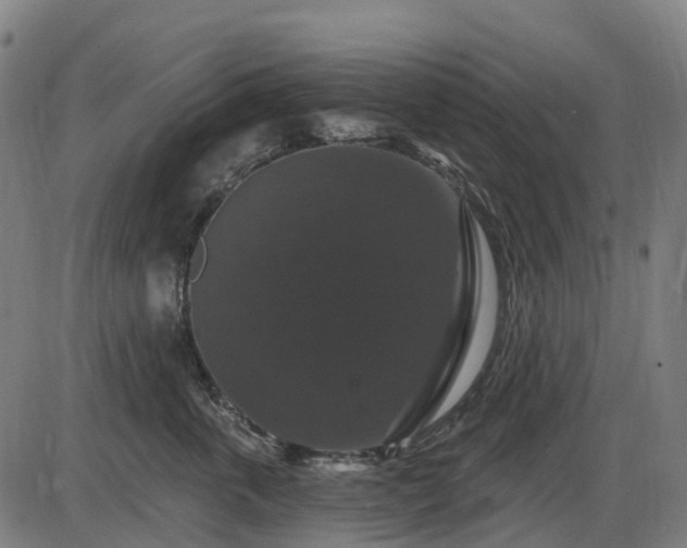 X0000085320763200703161505