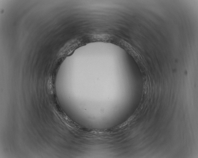 X0000085320764200703161505