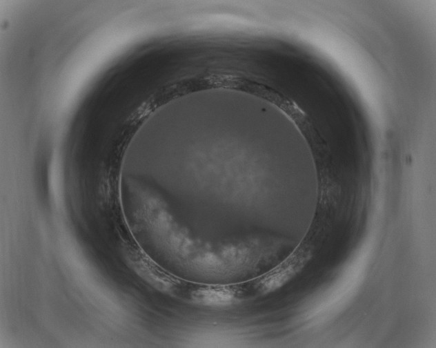 X0000085320765200703161505