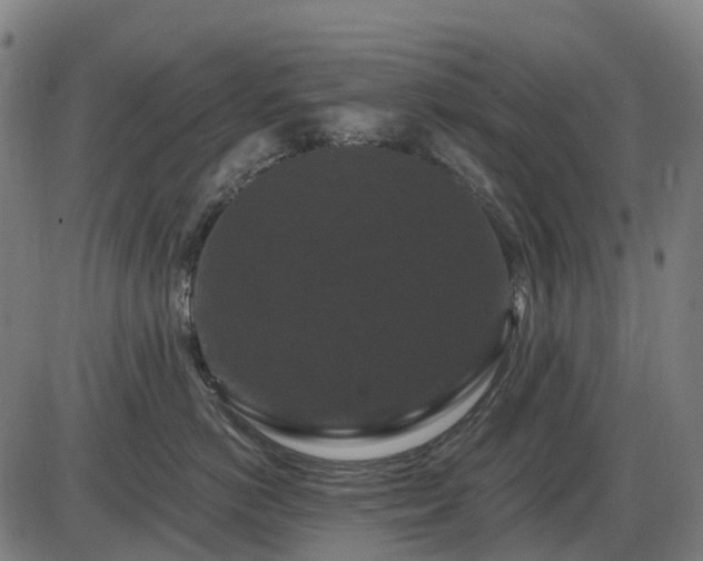X0000085320766200703161505