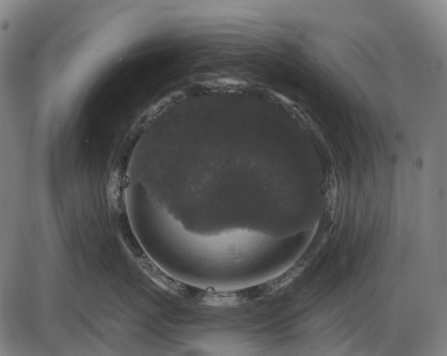 X0000085320767200703161505