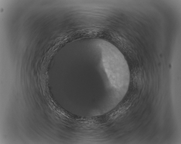 X0000085320769200703161505