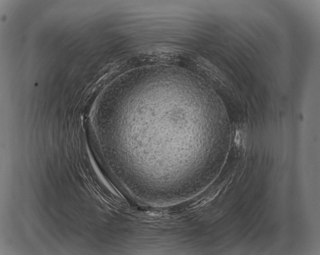 X0000085320771200703161505