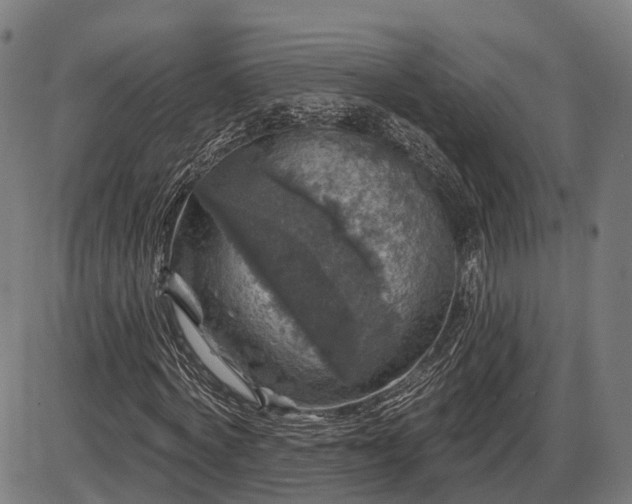 X0000085320772200703161505