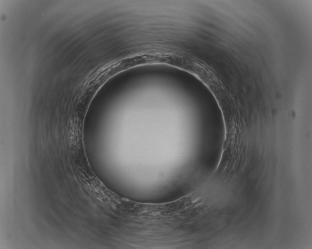 X0000085320773200703161505