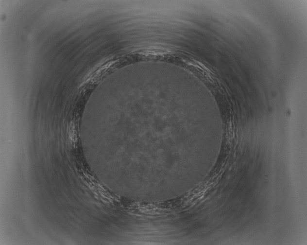 X0000085320774200703161505