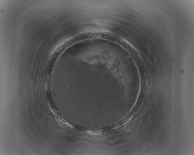 X0000085320775200703161505