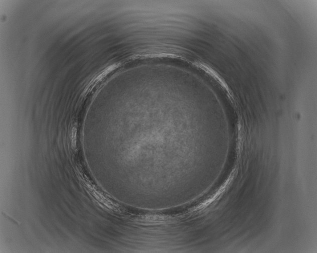 X0000085320777200703161505