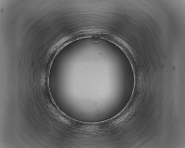 X0000085320778200703161504