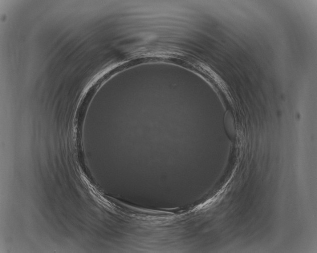 X0000085320779200703161504