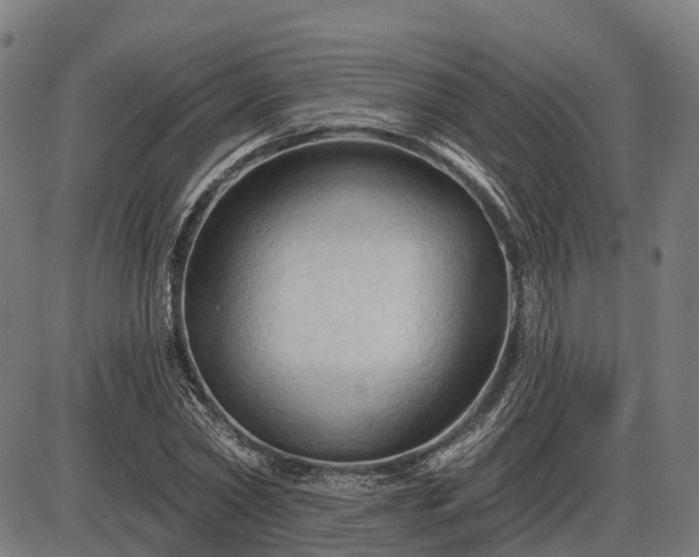 X0000085320782200703161504