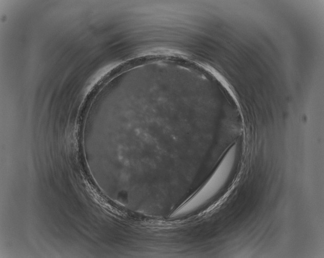 X0000085320783200703161504