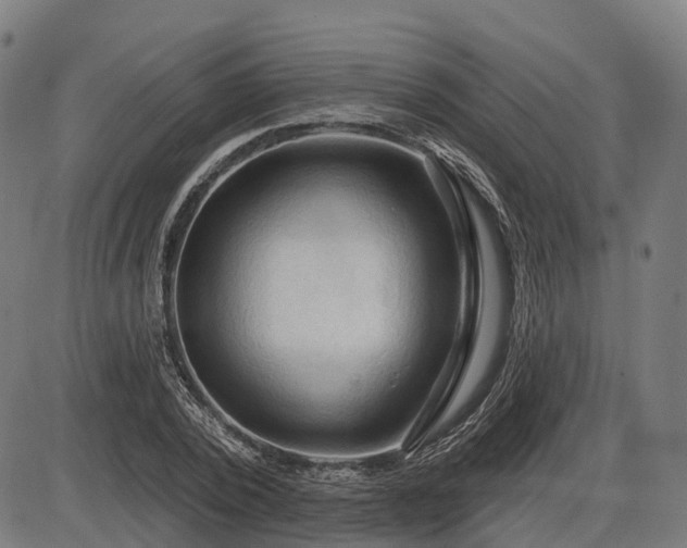 X0000085320784200703161504