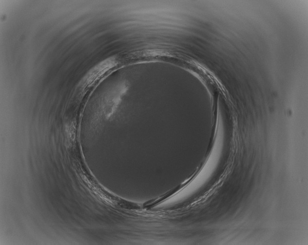X0000085320785200703161504