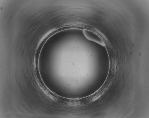 X0000085320788200703161504