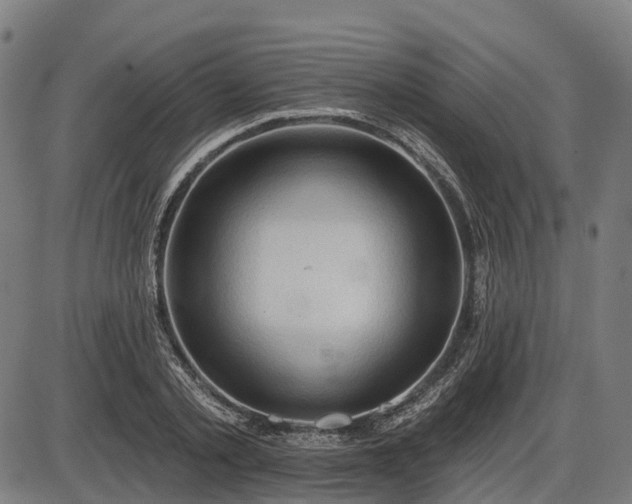 X0000085320789200703161504