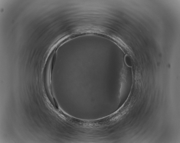 X0000085320790200703161504