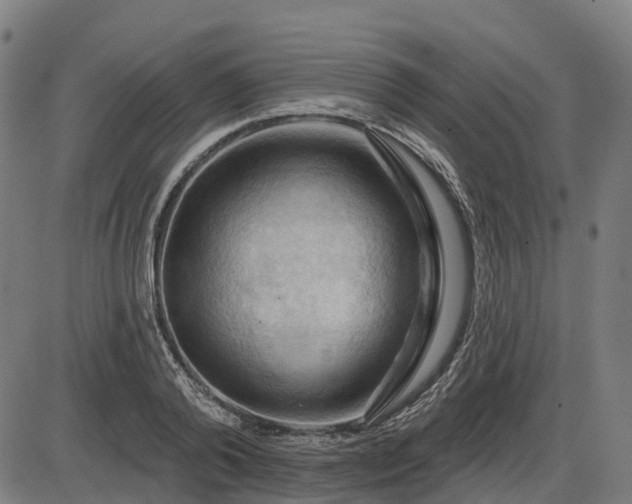 X0000085320792200703161504