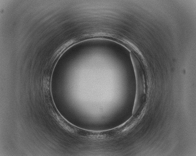 X0000085320793200703161504