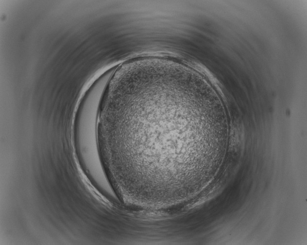 X0000085320795200703161504