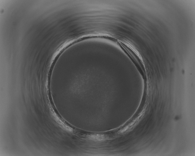 X0000085320797200703161504