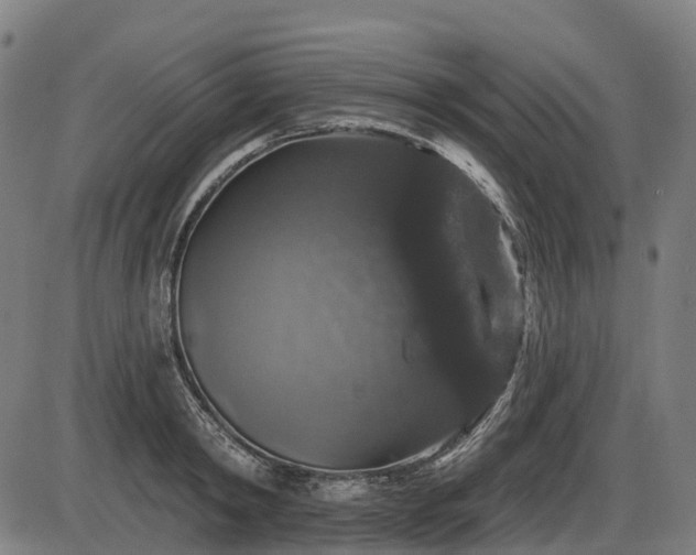 X0000085320798200703161504