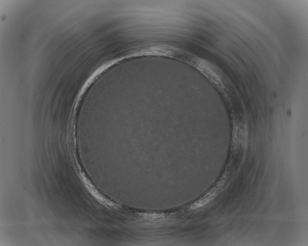 X0000085320800200703161504
