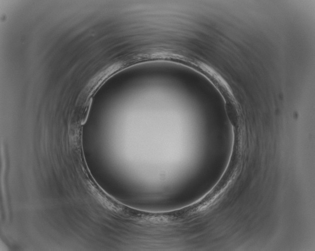 X0000085320801200703161504