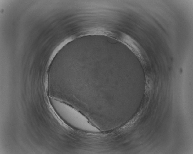 X0000085320804200703161504