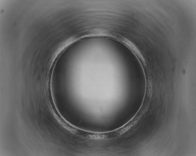 X0000085320805200703161504
