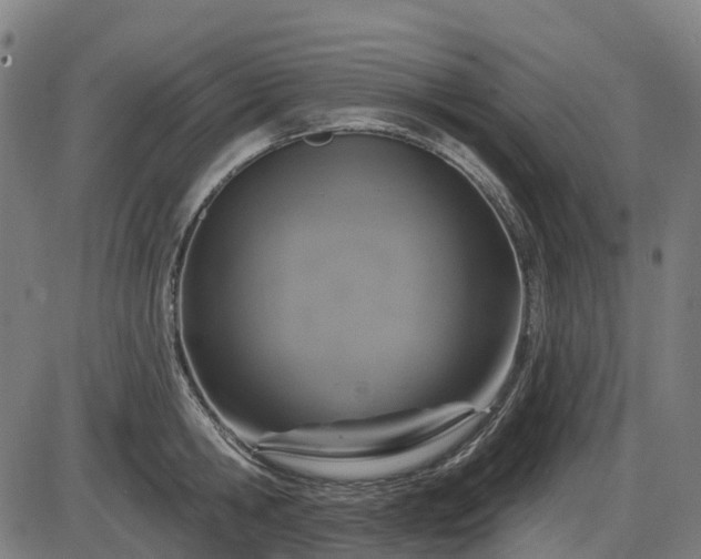 X0000085320806200703161504