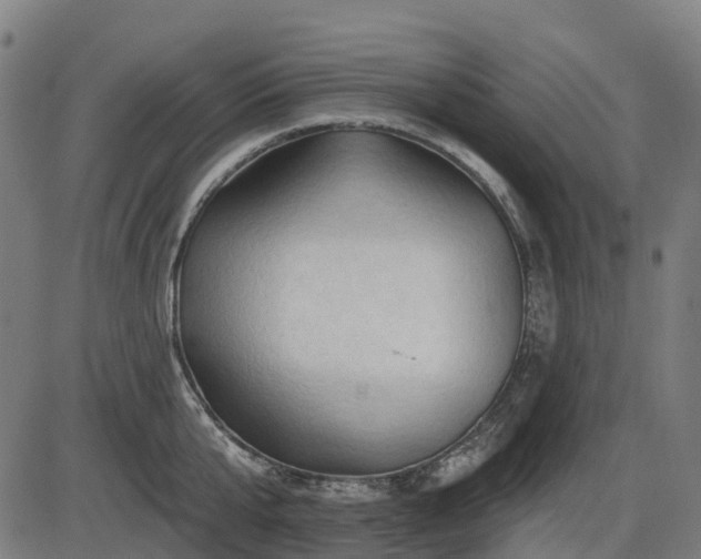 X0000085320807200703161504