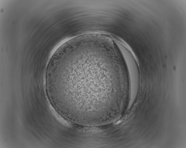 X0000085320811200703161504