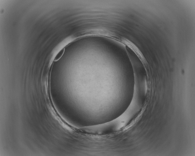 X0000085320812200703161504