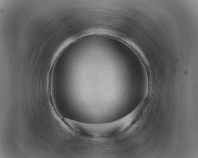 X0000085320815200703161504