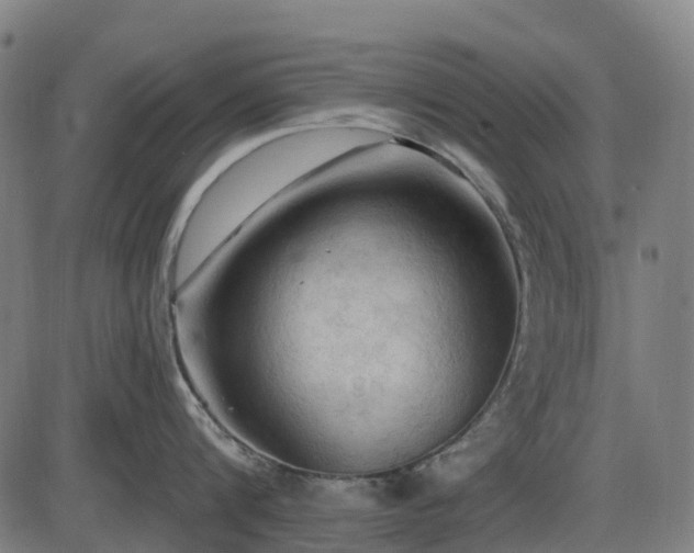 X0000085320816200703161504