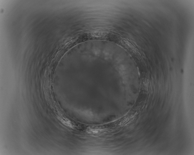 X0000085320817200703161503
