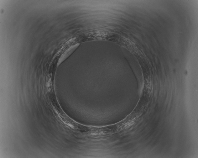 X0000085320818200703161503