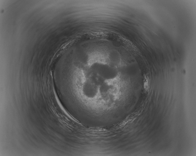 X0000085320819200703161503