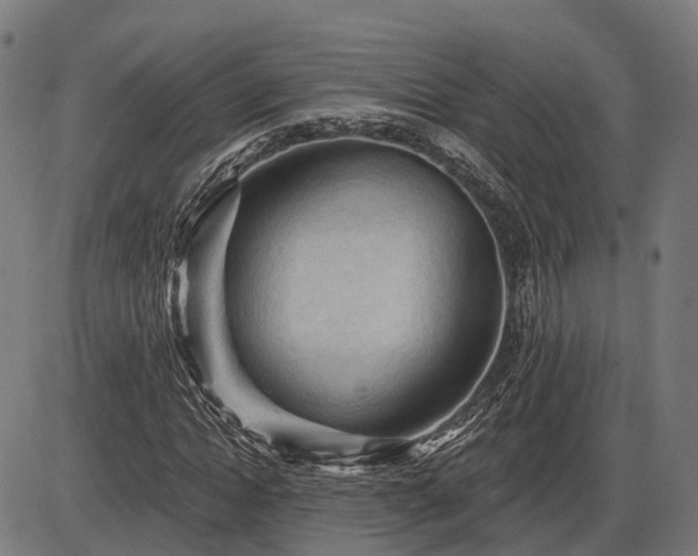 X0000085320822200703161503