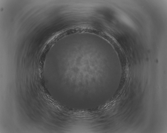 X0000085320823200703161503