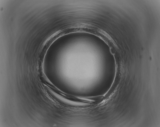X0000085320826200703161503