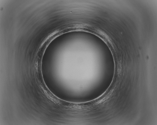 X0000085320827200703161503