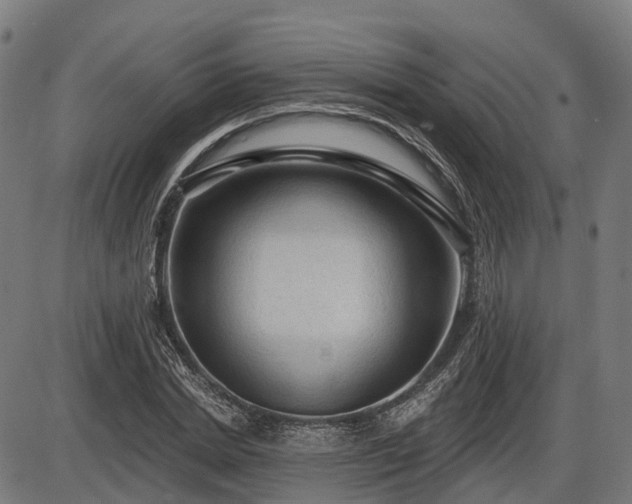 X0000085320830200703161503