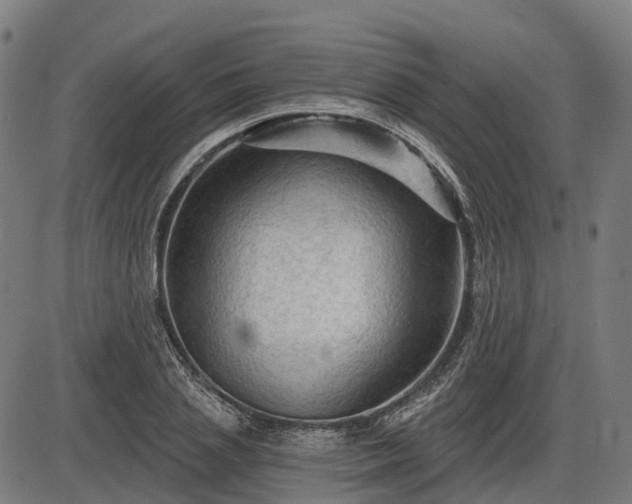 X0000085320837200703161503