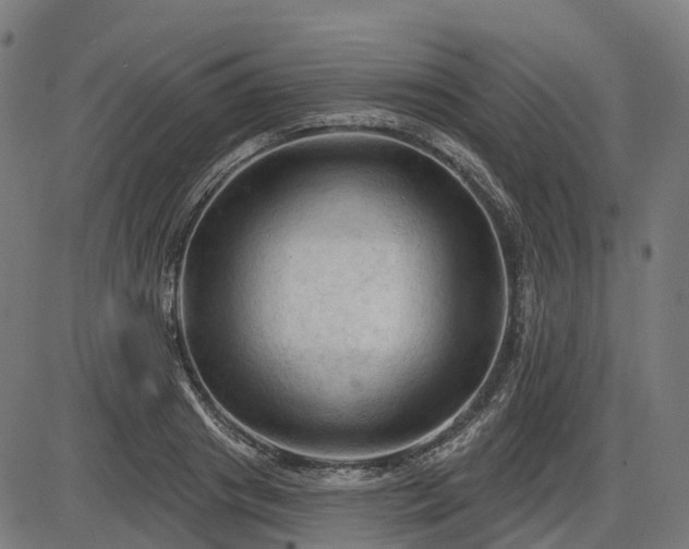 X0000085320841200703161503
