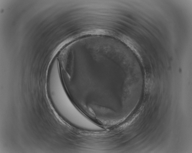X0000085320845200703161504