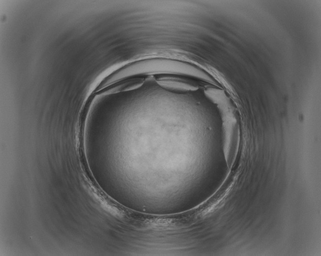 X0000085320846200703161504