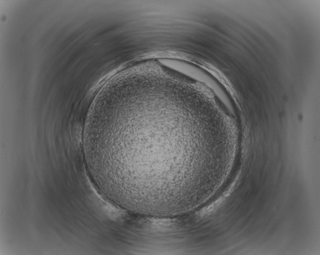 X0000085320849200703161504
